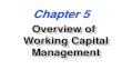 Chapter 8 -- Overview of Working Capital Management · 2015. 11. 28. · Gregory A. Kuhlemeyer Subject: Van Horne / Wachowicz Tenth Edition Created Date: 8/17/2014 4:44:59 PM ...