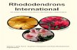 Rhododendrons International · 2016. 8. 16. · Rhododendrons International issue, and to you all for reading this material. I would particularly like to thank Sonja Nelson, Assistant