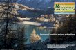 Association loi 1901 - Mercantour Ecotourisme · 2018. 5. 8. · d veloppement de lÕ ! cotourisme dans nos vall es. Au-del de ses missions de pr servation des milieux naturels, des