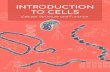 INTRODUCTION TO CELLS - lifeliqe.com...same basic life processes. Knowing the structures of cells and the processes they carry out is necessary to understanding life itself. • State