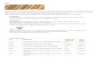 LERA - Seemannmobile.seemann.nu/wp-content/uploads/2014/03/katalog.pdf · 2017. 4. 13. · Engobe är en färgad slammad lera som används att måla med på läderhård (fuktig lera)