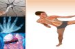 Človek a jeho telo · 2011. 2. 19. · Hormonálna sústava – žľazy s vnútorným vylučovaním riadia telo pomocou hormónov. Oporná a pohybová sústava – kosti a svaly