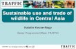 Sustainable use and trade of Title of ppt wildlife in Central Asia II... · 2015. 3. 30. · TRAFFIC is a strategic alliance of and Introduction to TRAFFIC TRAFFIC, the wildlife trade