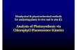 Analyyysis of Photosynthesis via Chlorophyll Fluorescence ...€¦ · Fluorescence kinetic microscopy Methods of data processing Method 1: images of fluorescence parameters To obtain