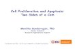 Cell Proliferation and Apoptosis: Two Sides of a Coinstatic.bdbiosciences.com/documents/webinar_2010_06_cell...Cell Proliferation and Apoptosis: Two Sides of a Coin Monisha Sundarrajan,