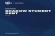 SHADOW STUDENT DEBT · 2020. 12. 9. · SHADOW STUDENT DEBT 3434 6 By identifying, investigating, and regulating shadow student debt, government officials also have an unprecedented