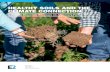 HEALTHY SOILS AND THE CLIMATE CONNECTION...NRDC 4 // HEALTHY SOILS AND THE CLIMATE CONNECTION 2 FARM PROFITS AND ECONOMIC RECOVERY Climate-smart agricultural practices offer a path