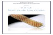 O-Beads Nowy wymiar kreatywności - Kadoro beads instrukcja.pdf · 2020. 12. 7. · Zaprojektowała je Sabine Lippert projektantka roku magazynu Beadwork i twórczyni koralików Rizo.
