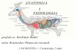 ANATOMIJA I FIZIOLOGIJA...Anatomija je znanost koja proučava građu, sastav, oblik i odnos organa u organizmu živih bića (mikroskopska-makroskopska) - sustavna (promatra tijelo