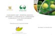 PLAN MAROC VERT : STRATÉGIE AGRICOLE INTÉGRANT LA ......• Le Maroc parmi les pays qui connaitraient le plus d’impacts négatifs sur le rendement dû au changement climatique