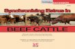 BEEF CATTLE - University of Nebraska–LincolnEstroPLAN , Estrumate®, IN-SYNCH , Lutalyse®, and Prostamate , and each contains prostaglandin F 2α (PGF 2α) or one of its analogues.
