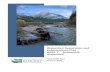 Final Draft Plan January 2021 - Washington State€¦ · Gretchen Glaub, Snohomish Basin Salmon Recovery Forum (ex officio) Technical Consultant Team . Bridget August, GeoEngineers