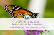 NVCA Budget 2021 Presentation - Springwater, Ontario · 2020. 11. 24. · NVCA –Our Continued Direction 3 Our Vision - A sustainable watershed that is resilient to the effects of