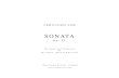 SONATA - Freevietguitar2.free.fr/Score/NuocNgoai/Fernando Sor/Sonata... · 2007. 5. 10. · FERNANDO SOR SONATA Revised and Fingered by Eythor Thorlaksson The Guitar School - Iceland