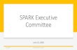 SPARK Executive Committee...Jun 22, 2020  · •1.0 Legislative Liaison 6/22/2020 SPARK Executive Committee 17. Salary Ranges Less than $50,000 $50,000-$95,000 $95,000+ • Special