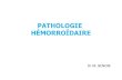 PATHOLOGIE - Accueil · 2020. 5. 17. · retard de cicatrisation fistule sténose canalaire incontinence PATHOLOGIE HÉMORROÏDAIRE INTERNE •