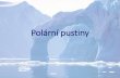 Polární pustiny · Polární pustiny •Arktida –oblast severněod severního polárního kruhu, •Antarktida –oblast jižněod jižního polárního kruhu, –Úkol 1: Pomocí