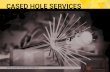 CASED HOLE SERVICES - Scientific Drilling...1 Scientific Drilling’s Cased Hole Services provide reliable, fit-for-purpose and cost effective solutions for well integrity and production