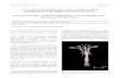 Larval mantis shrimp Rissoides desmaresti Risso, 1816) …files.belgianjournalofzoology.eu/download/BJZ_142_2_Van... · 2020. 3. 23. · The mantis shrimp Rissoides desmaresti (Risso,