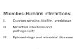 Microbes-Humans interactions...• Quenching: host strategy to avoid bacterial infection • Silencing the communication by chemical interference • Eukaryotic quorum-quenching mechanisms