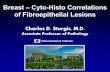 Breast –Cyto-Histo Correlations of Fibroepithelial Lesions...4.8% of benign breast tumors (WHO, 2012, Chapter 11). Term first applied by Arrigoni et al to breast lesions in 1971.