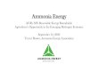Ammonia Energy - AURI...2020/09/10  · AURI, MN Renewable Energy Roundtable Agriculture’s Opportunity in the Emerging Hydrogen Economy September 10, 2020 Trevor Brown, Ammonia Energy