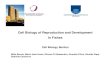 Cell Biology of Reproduction and Development In Fishes...Cell Biology of Reproduction and Development In Fishes Cell Biology SectionS Nibia Berois, María José Arezo, Silvana D´Alessandro,