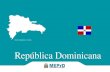 República Dominicana...República 2016-2020 INFORME PAÍS: REPÚBLICA DOMINICANA 01 Datos básicos República Dominicana Nombre oficial República Dominicana Capital Santo Domingo