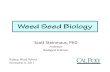 Scott Steinmaus, PhD - UCANRcemonterey.ucanr.edu/files/132407.pdfViable weed seed Dead seed crop seed. Dry “dirt mulchdirt mulch” on surface 1on surface 1-2” . Weeds seeds will