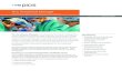 Picis Anesthesia Manager Product Sheet...Picis is a part of OptumInsight Picis Anesthesia Manager is an anesthesia information management system (AIMS) that effectively helps anesthesia