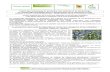 La protection des cultures légumières contre les ravageurs et les … · 2020. 4. 9. · chez Michel Seimandi à Ventabren (13) le lundi 30 septembre 2013 En maraîchage biologique,