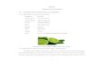 BAB II TINJAUAN PUSTAKA 2.1 Tanaman Jeruk Nipis (Citrus …repository.poltekkespim.ac.id/id/eprint/505/3/BAB II... · 2020. 8. 6. · antioksidan alami (antioksidan hasil ekstraksi