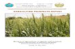 AGRICULTURE PROSPECTS REPORT · 2019. 6. 20. · Islamic Republic of Afghanistan Ministry of Agriculture, Irrigation and Livestock . Abbreviations AEZ Agro-ecological Zone APR Agriculture