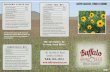 SANDY SOIL MIX NATIVE GRASSES, FORBS & SHRUBS101 East 4th St. Road Greeley, CO 80631 ˜alobrandseed.com 800.421.4234 WESTERN NATIVE MIX Suggested Seeding Rate 15-20 lbs. per acre A