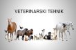 VETERINARSKI TEHNIK SPLETNA STRAN 1.pdf · 2019. 1. 27. · Anatomija in fiziologija domačih živali Oskrba živali Informatika in poslovno komuniciranje Laboratorijsko delo v veterinarstvu