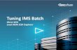 Tuning IMS Batch - iTech-Ed Ltd...How does it do it -Monitors / analyzes IMS batch applications -Dynamically implements optimal resource settings Key features -Policy Driven - No JCL
