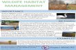 Fact sheet - Wildlife Habitat Management Documents/Fact...The University of Wisconsin – Stevens Point Student Chapter of The Wildlife Society Project WildLIVE STORIES FROM THE CO-LEADERS