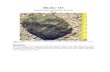 Dhofar 733 - NASA dho733.pdf · 2007. 5. 4. · Dhofar 733 Anorthositic granulitic breccia 98 g Figure 1: Dhofar 733 as found in the Dhofar region of Oman in 2002 (photo from Classen).