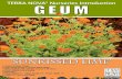 Geum 'Sunkissed Lime' · 2019. 1. 5. · 'SUNKISSED Lovely lime green foliage Clear orange flowers in clusters above foliage Spring flowering with sporadic summer to fall bloom Forms