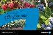 Publication 360B-F Guide de protection des petits fruits 2020-2021 · 2020. 5. 20. · pesticides, leur utilisation, leur transport, leur entreposage et leur élimination en Ontario.