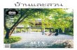 นิตยสาร บ้านและสวน ปีที่ 43 ฉบับ ... · 2018. 11. 13. · solt Salt and Pepper Design Studio Creative Thailand T-Style : Craft