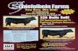 12 Noon 325 Bulls Sell! - Schiefelbein Farms - Homeschiefelbeinfarms.com/pdf_file/2014_Bull Sale Catalog New... · 2014. 1. 25. · HD & Sitz Madison & Hoover Dam 86 - 95 SimAngus