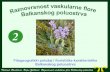 Fitogeografski položaj i florističke karakteristike Balkanskog … · 2018. 1. 20. · Balkansko poluostrvo predstavlja jedan od svetskih centara florističkog diverziteta i vrstama