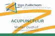 Acupunctuur - Van Zuilichem Zorg · Kleur Blauw-groen Rood Geel Wit Zwart Klimaat Wind Warm Vocht Droog Koud Geluid ... 1. Rillingen / koorts 7. Stoelgang / urine 2. Zweten 8. Gehoor