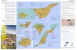 Observación de aves en las islas canarias - SEO/BirdLife · 2018. 5. 4. · Observación de aves en las islas canarias birdwatching in canary islands Mapa-100 lugares para ver aves