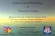 Anatomy and Physiology of Vascular Access...Vascular Access Advanced Course in Vascular Access 2019 Convenor: Professor Kittipan Rerkasem 2 –3 May 2019, Chiang Mai, Thailand •