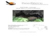 Park Profile – Venezuela Alfredo Jahn Cave Natural Monumentparkswatch.org/parkprofiles/pdf/ajnm_eng.pdf · 2006. 3. 15. · Quebrada (Creek Passage), the Arrastraderro (the Crawl