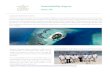 Best Resorts in Maldives - Sustainability Report 2017-18 · 2019. 3. 14. · Awards in 2010, Adaaran Prestige Vadoo is a luxurious Maldives Island resort that stands out amongst the