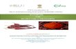 PM Formalization of Micro Food Processing Enterprises (PMFME) … · 2021. 3. 22. · PMFME-Processing of Byadgi Chilli Page 4 CHAPTER 1 INTRODUCTION Chilli (Capsicum annuum L., Capsicum