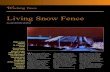 Living Snow Fence - U.S. Forest ServiceEfficacy. A living snow fence is more efficient in capturing snow. than a slatted fence. When mature, a living snow fence, depending on its design,